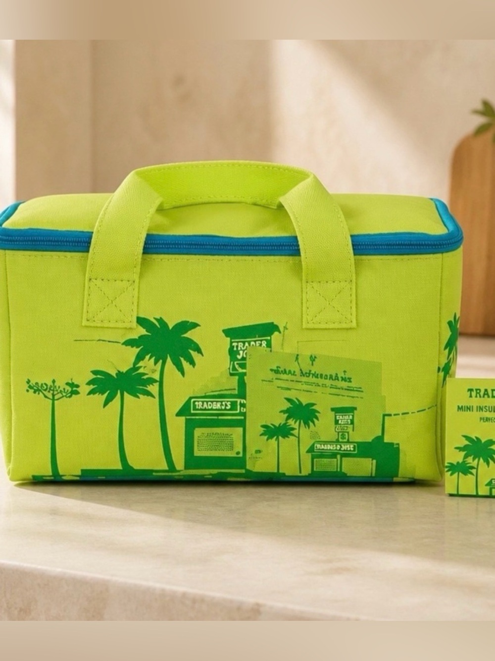 Trader Joes Mini Insulated Lunch Tote Bag